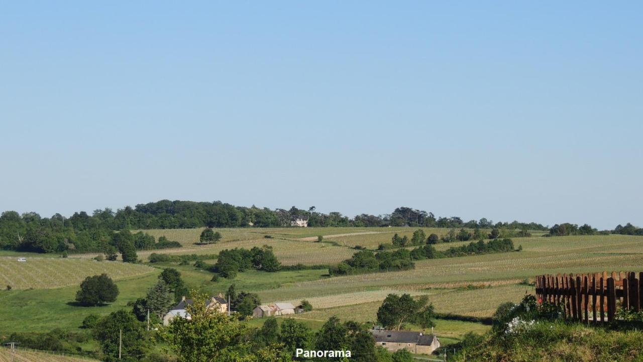Gite Hyrom 5 Places Moulin De La Placette Faye-d'Anjou Buitenkant foto